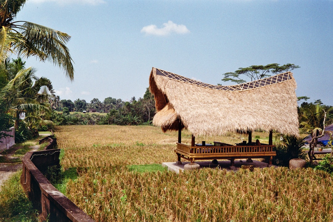 Scenic Bali countryside view