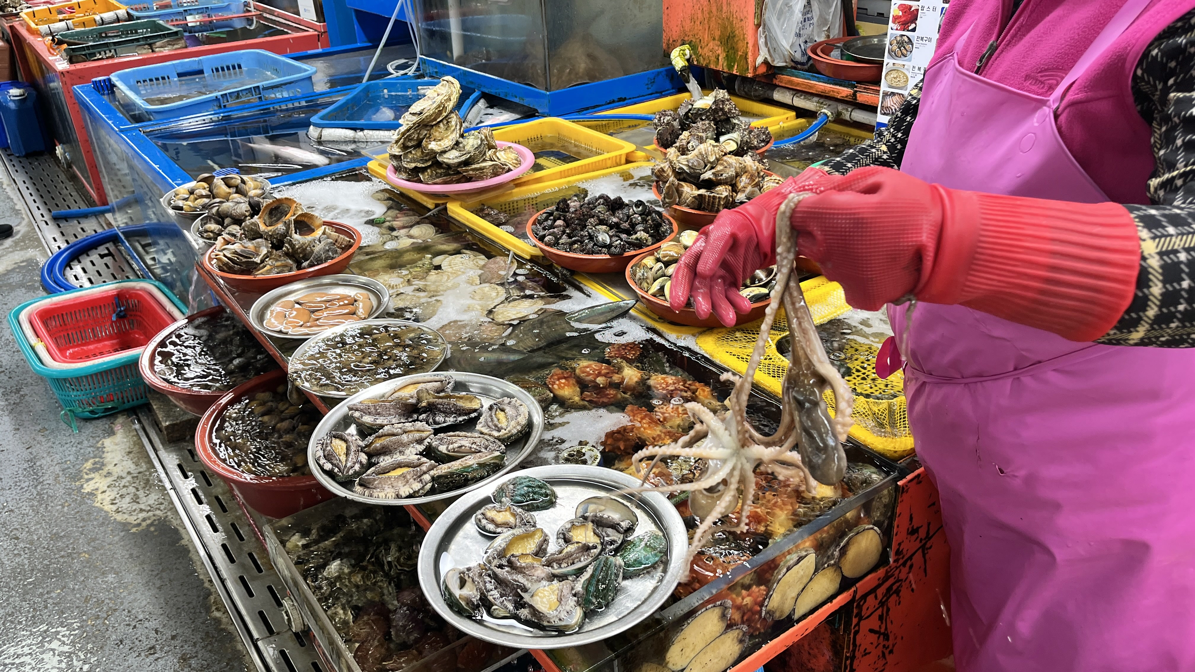 Jagalchi Fish Market in Busan with fresh seafood stalls and vendors