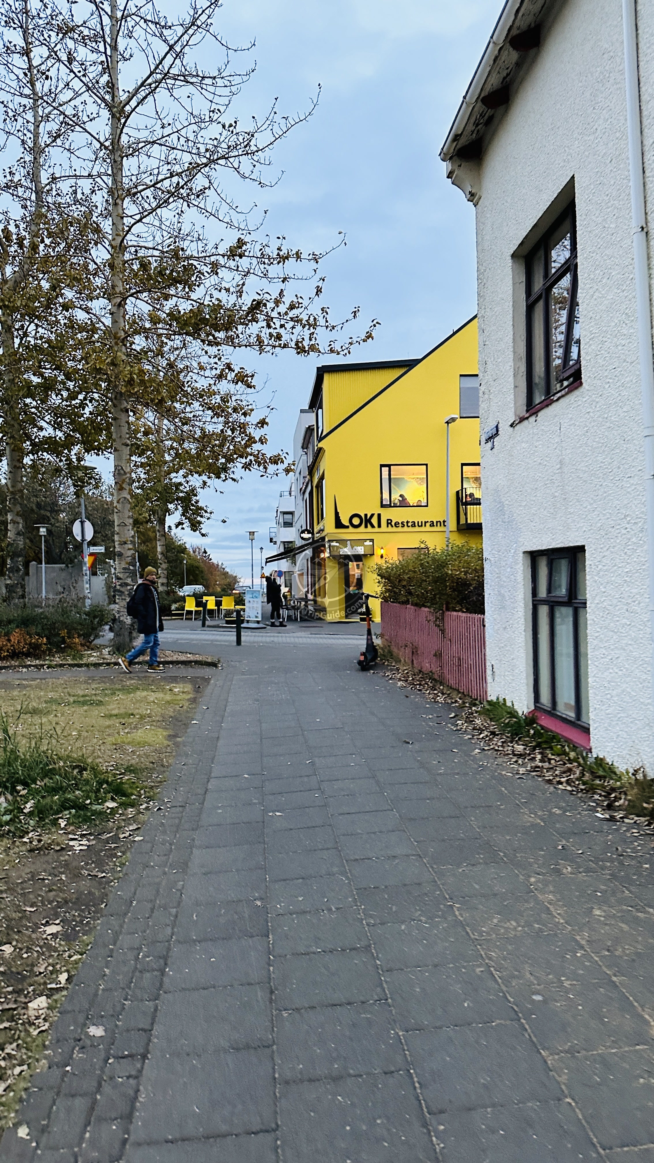 Cafe Loki in Reykjavik: Our First Icelandic Meal