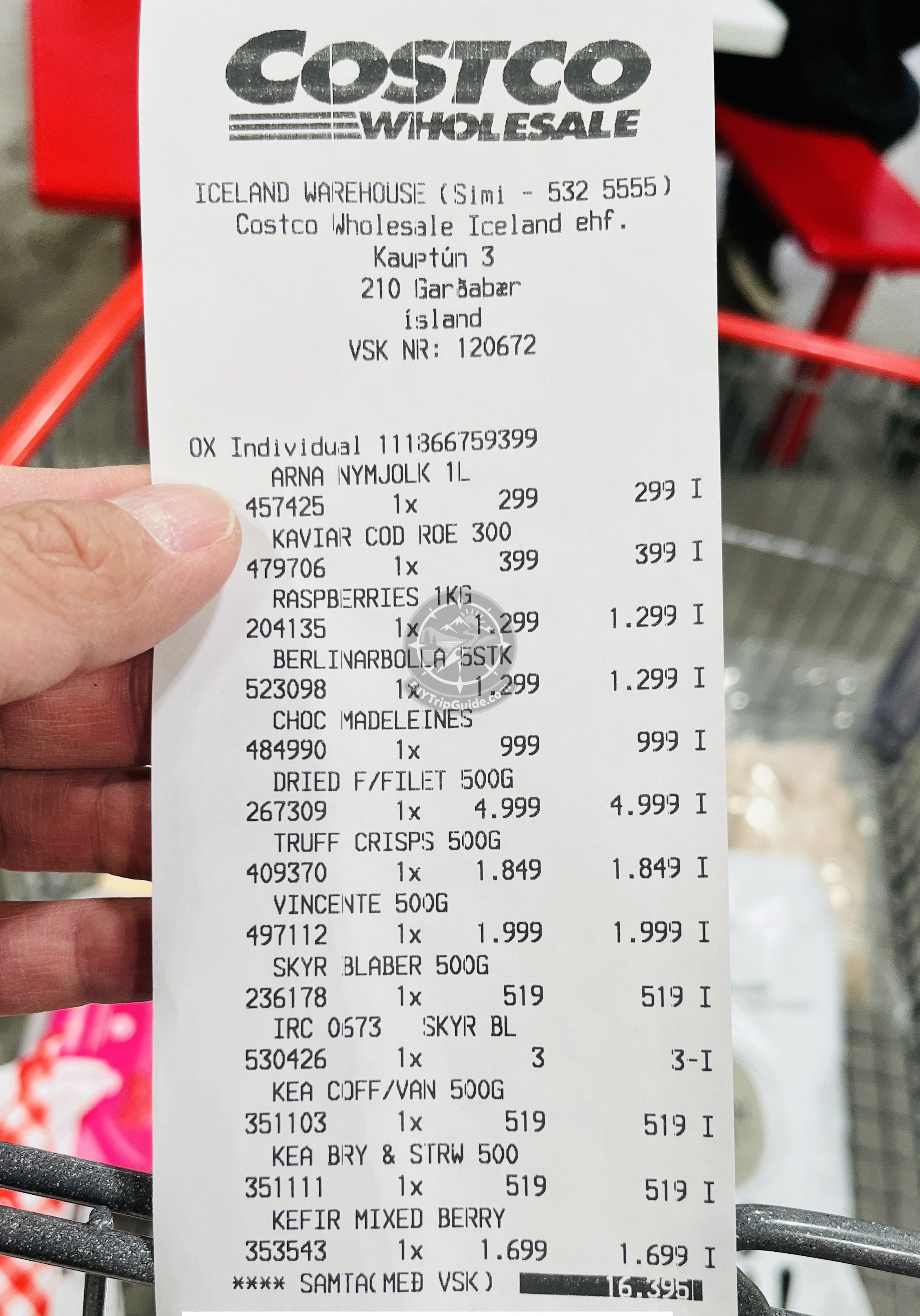 Costco grocery receipt and shopping evidence